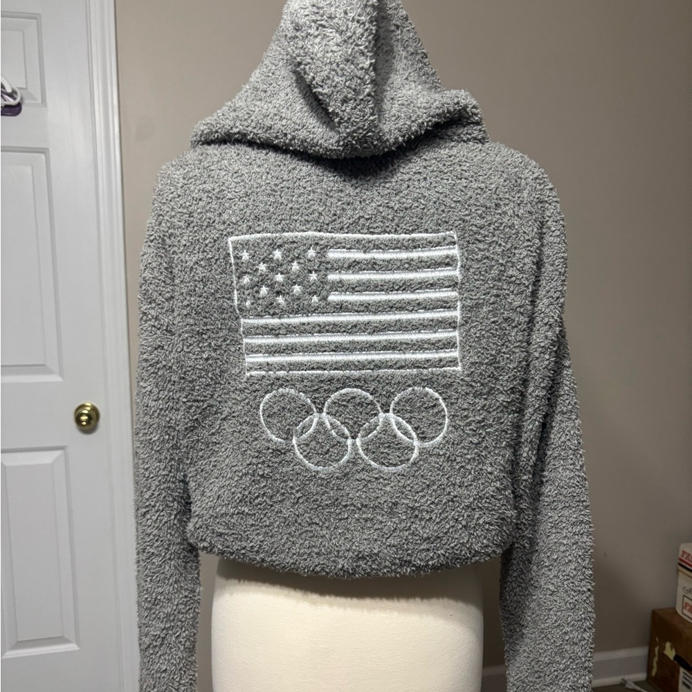 Gray SKIMS Olympic Hoodie with Team USA Logo - Picture 3 of 6